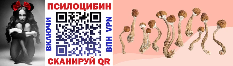 хочу наркоту  Горячий Ключ  Псилоцибиновые грибы ЛСД 