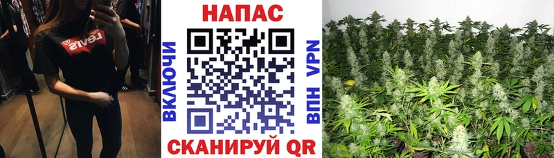 Шишки марихуана тримм  Горячий Ключ 
